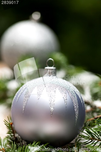 Image of Silver Christmas ornaments in leaves