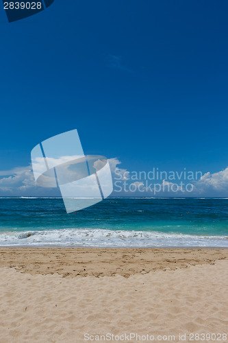 Image of Beautiful tropical beach with lush vegetation