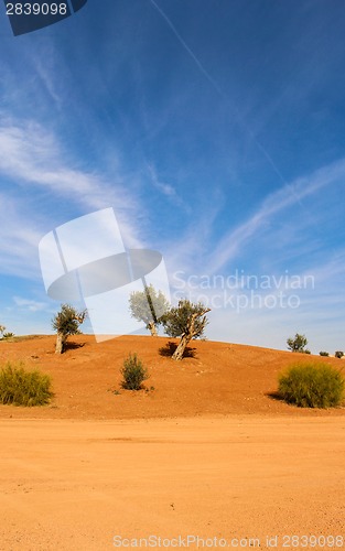 Image of Scenic desert landscape