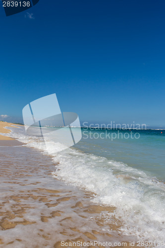 Image of Beautiful tropical beach with lush vegetation