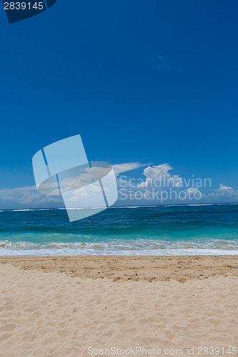 Image of Beautiful tropical beach with lush vegetation