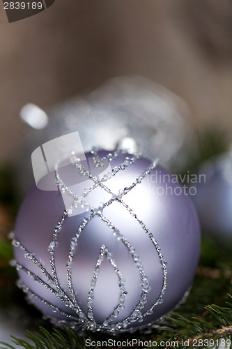 Image of Silver Christmas ornaments in leaves