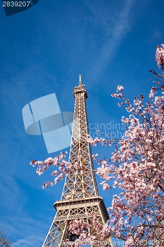 Image of Eiffel Tower in Paris