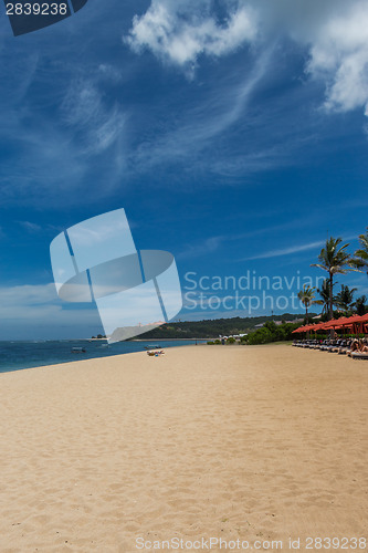 Image of Beautiful tropical beach with lush vegetation