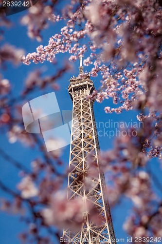 Image of Eiffel Tower in Paris