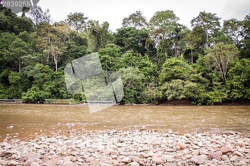 Image of Stony river bed in a lush green jungle