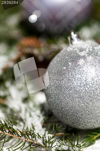 Image of Silver Christmas bauble on a tree with snow