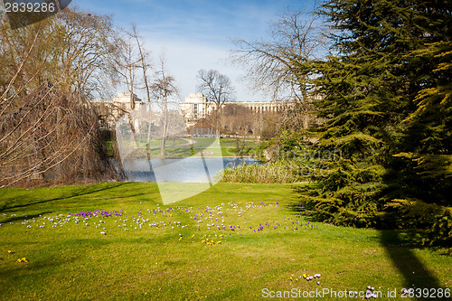 Image of Tranquil park with a pond and wildflowers