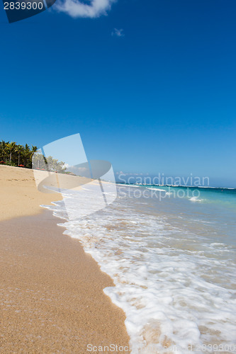 Image of Beautiful tropical beach with lush vegetation