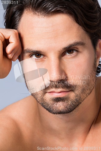 Image of Handsome sexy bearded man