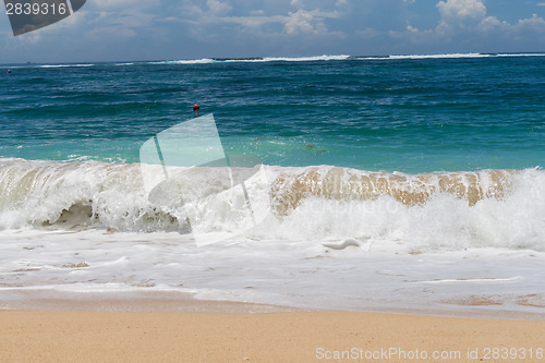 Image of Beautiful tropical beach with lush vegetation