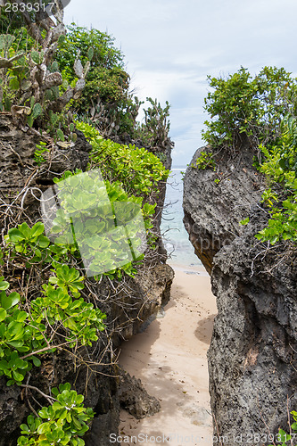 Image of Beautiful tropical beach with lush vegetation