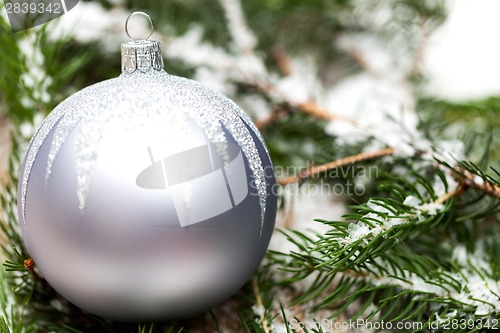 Image of Silver Christmas ornaments in leaves