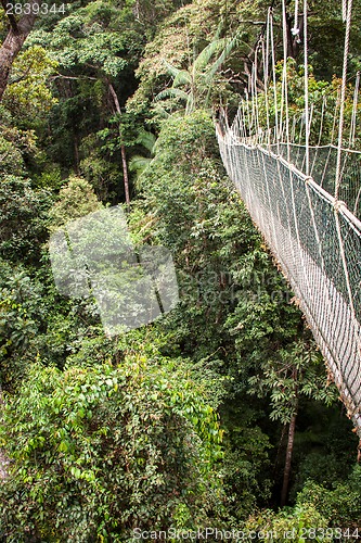 Image of Narrow cable suspension footbridge