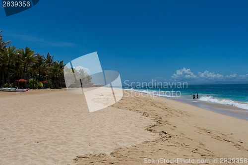 Image of Beautiful tropical beach with lush vegetation