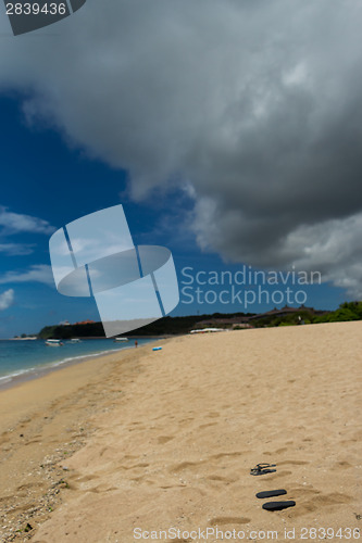 Image of Beautiful tropical beach with lush vegetation