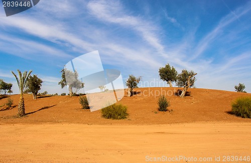 Image of Scenic desert landscape