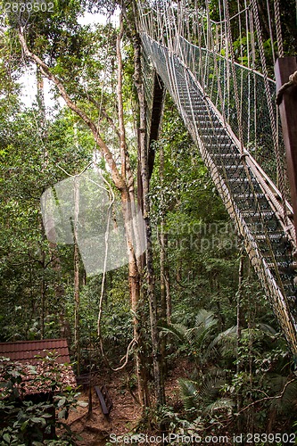 Image of Narrow cable suspension footbridge