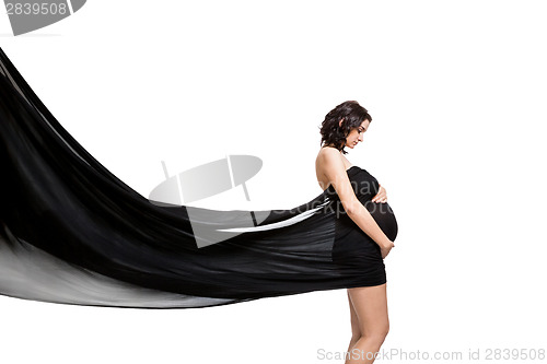 Image of Artistic portrait of a beautiful pregnant woman