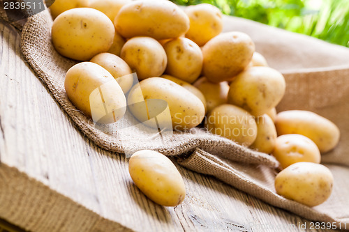 Image of Farm fresh  potatoes on a hessian sack