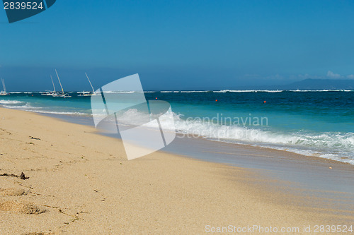 Image of Beautiful tropical beach with lush vegetation