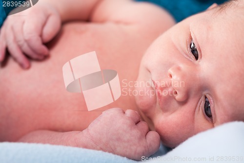 Image of Small infant wrapped in knitted fabric