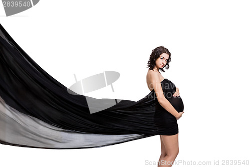 Image of Artistic portrait of a beautiful pregnant woman