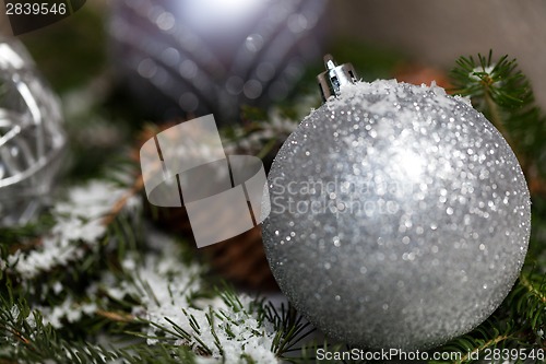 Image of Silver Christmas bauble on a tree with snow