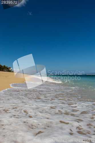 Image of Beautiful tropical beach with lush vegetation