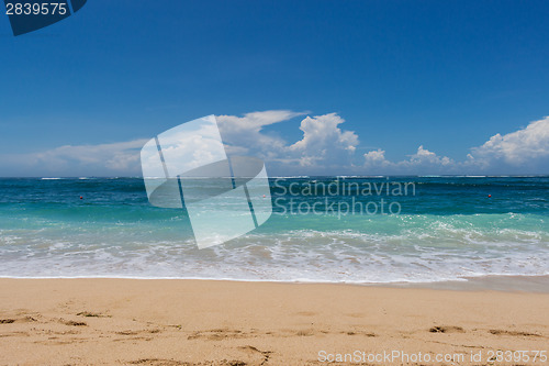 Image of Beautiful tropical beach with lush vegetation