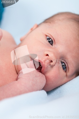 Image of Small infant wrapped in knitted fabric