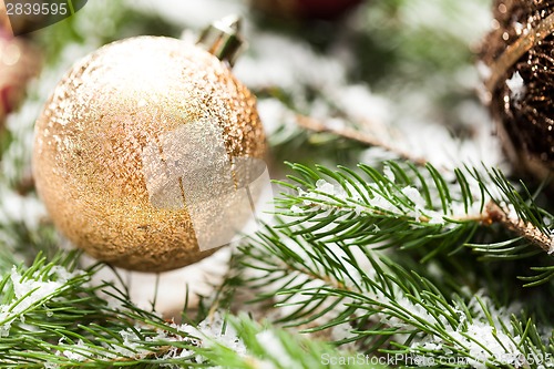 Image of Gold Christmas ornament on leaves