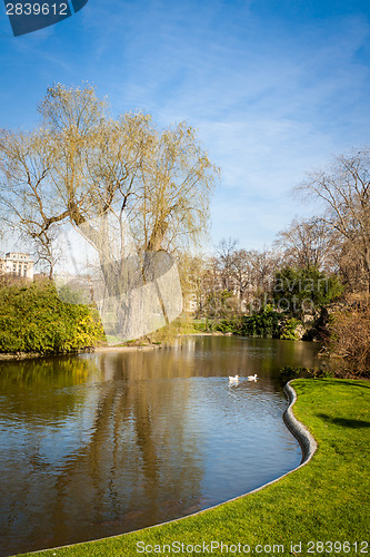 Image of Tranquil park with a pond and wildflowers