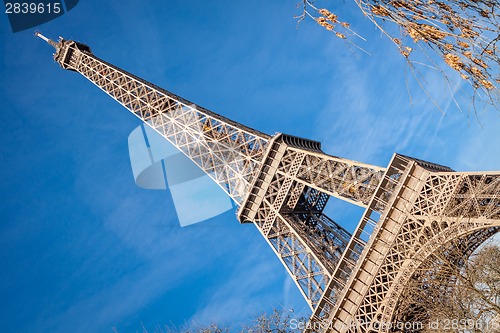 Image of Eiffel Tower in Paris
