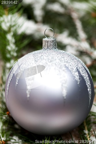 Image of Silver Christmas ornaments in leaves