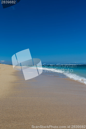 Image of Beautiful tropical beach with lush vegetation