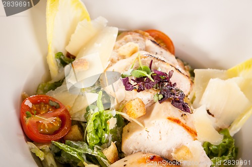 Image of tasty fresh caesar salad with grilled chicken and parmesan 