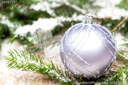 Image of Silver Christmas ornaments in leaves