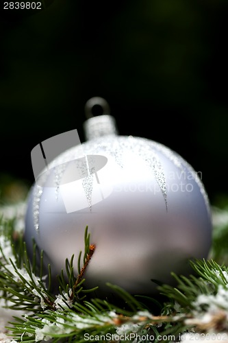 Image of Silver Christmas ornaments in leaves