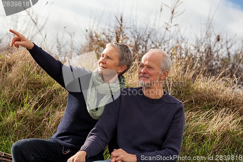 Image of happy senior couple relaxing together in the sunshine