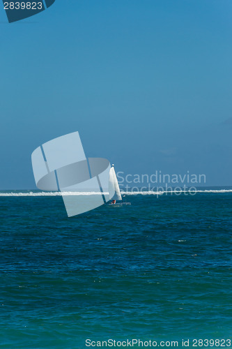 Image of Beautiful tropical beach with lush vegetation