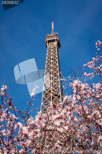 Image of Eiffel Tower in Paris