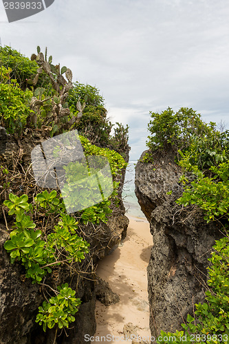 Image of Beautiful tropical beach with lush vegetation