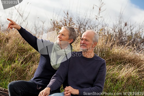 Image of happy senior couple relaxing together in the sunshine