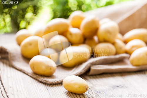 Image of Farm fresh  potatoes on a hessian sack