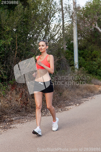 Image of Fit young woman jogging