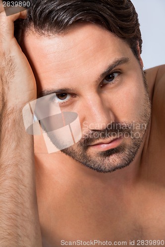 Image of Handsome sexy bearded man