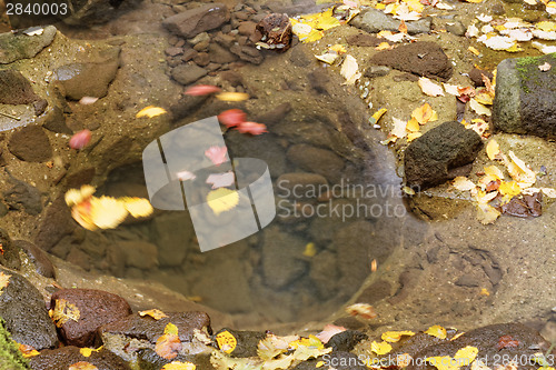 Image of Lake in autumn