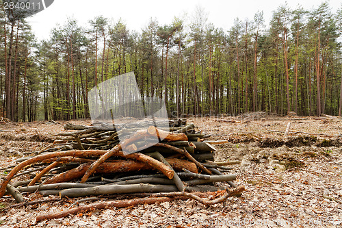 Image of Logging