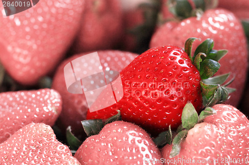 Image of Strawberry